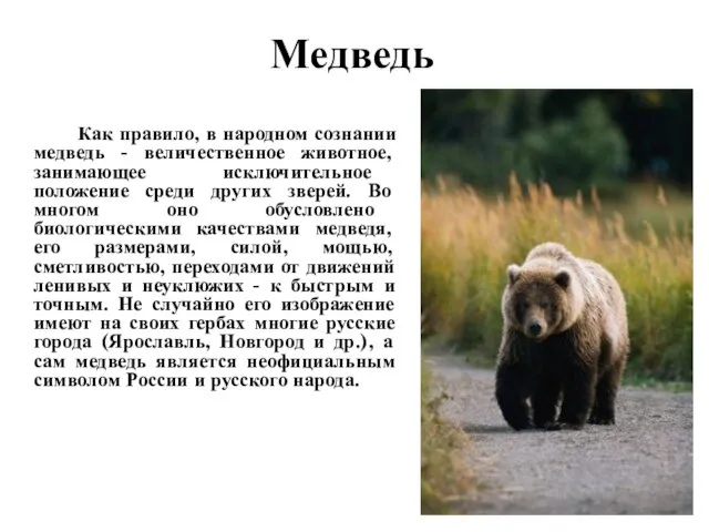 Медведь Как правило, в народном сознании медведь - величественное животное, занимающее