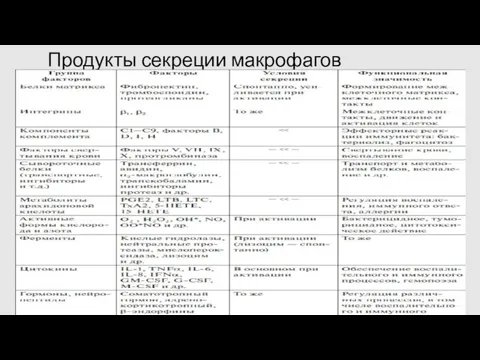 Продукты секреции макрофагов