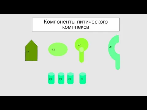 Компоненты литического комплекса C6 C9 C5 C9 C9 C9