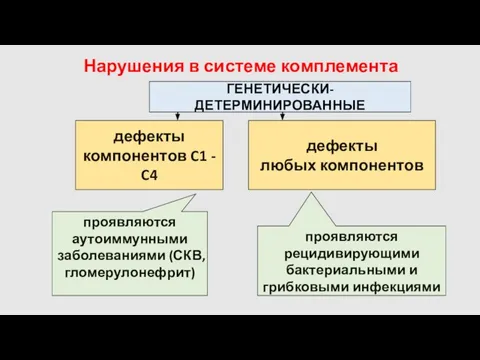 Нарушения в системе комплемента ГЕНЕТИЧЕСКИ-ДЕТЕРМИНИРОВАННЫЕ дефекты компонентов C1 - C4 дефекты