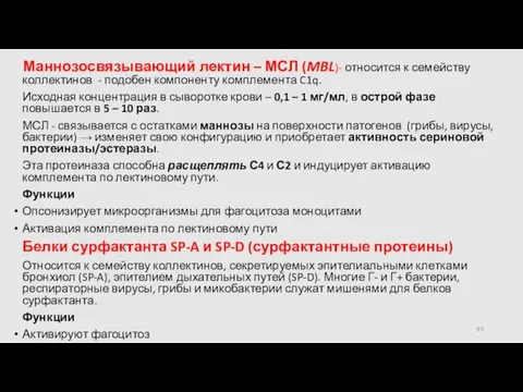 Маннозосвязывающий лектин – МСЛ (MBL)- относится к семейству коллектинов - подобен