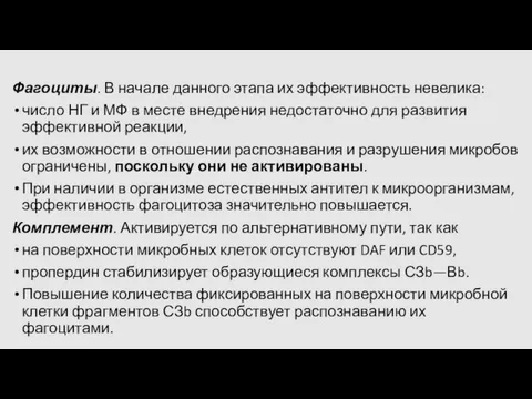 Фагоциты. В начале данного этапа их эффективность невелика: число НГ и