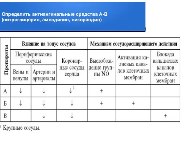 Определить антиангинальные средства А-В (нитроглицерин, амлодипин, никорандил)