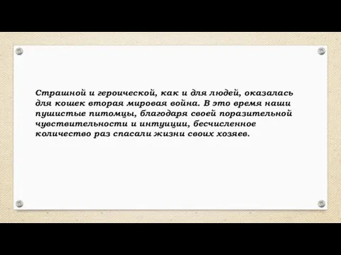 Страшной и героической, как и для людей, оказалась для кошек вторая