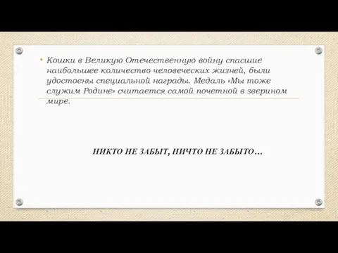 Кошки в Великую Отечественную войну спасшие наибольшее количество человеческих жизней, были