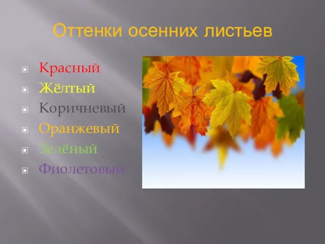 Оттенки осенних листьев Красный Жёлтый Коричневый Оранжевый Зелёный Фиолетовый