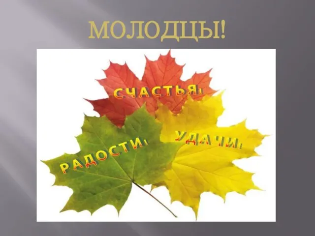 МОЛОДЦЫ!