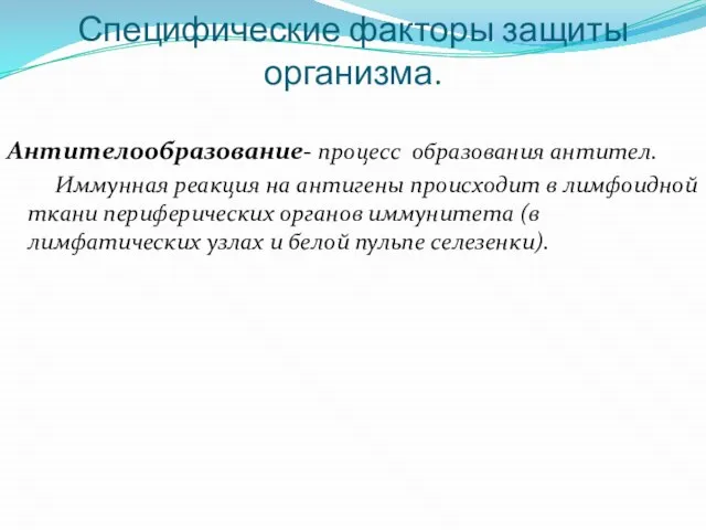 Специфические факторы защиты организма. Антителообразование- процесс образования антител. Иммунная реакция на