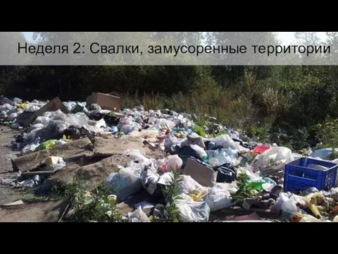 Неделя 2: Свалки, замусоренные территории