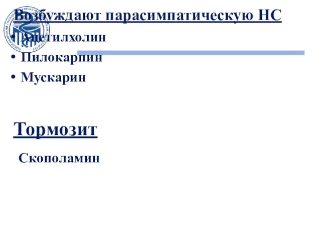 Возбуждают парасимпатическую НС Ацетилхолин Пилокарпин Мускарин Тормозит Скополамин