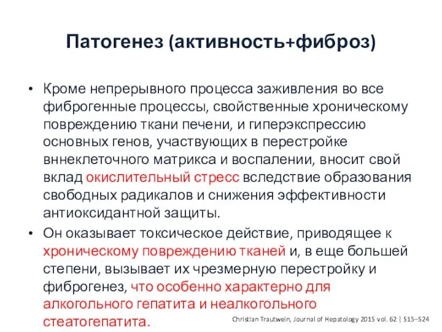 Патогенез (активность+фиброз) Кроме непрерывного процесса заживления во все фиброгенные процессы, свойственные