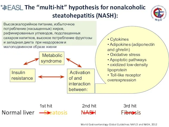 The “multi-hit” hypothesis for nonalcoholic steatohepatitis (NASH): Normal liver Steatosis NASH