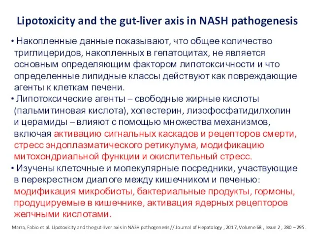 Lipotoxicity and the gut-liver axis in NASH pathogenesis The pathogenesis of