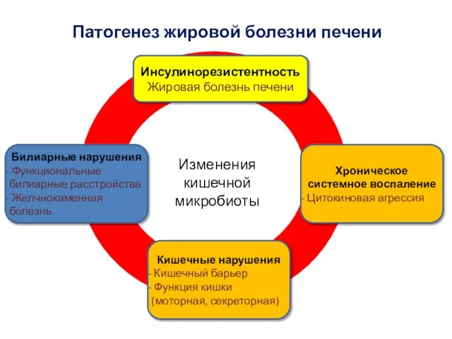 Патогенез жировой болезни печени Инсулинорезистентность Жировая болезнь печени Билиарные нарушения Функциональные