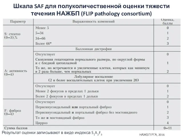 Шкала SAF для полуколичественной оценки тяжести течения НАЖБП (FLIP pathology consortium)