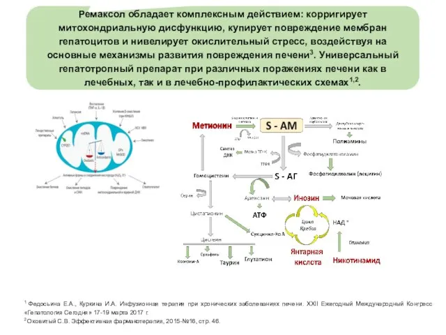 Ремаксол обладает комплексным действием: корригирует митохондриальную дисфункцию, купирует повреждение мембран гепатоцитов