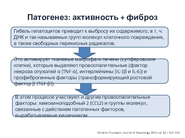 Патогенез: активность + фиброз Christian Trautwein, Journal of Hepatology 2015 vol.