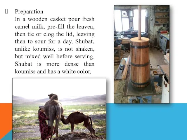 Preparation In a wooden casket pour fresh camel milk, pre-fill the