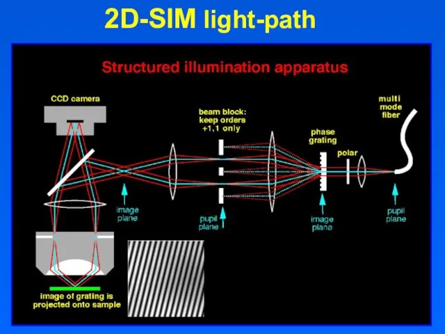 November 20, 2018 2D-SIM light-path