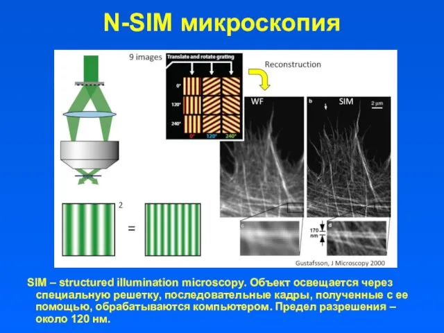 N-SIM микроскопия SIM – structured illumination microscopy. Объект освещается через специальную