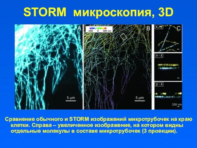STORM микроскопия, 3D Сравнение обычного и STORM изображений микротрубочек на краю