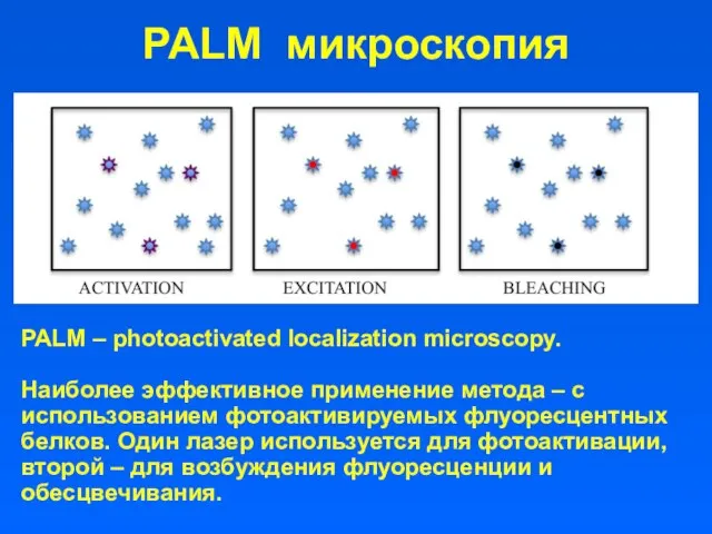 PALM микроскопия PALM – photoactivated localization microscopy. Наиболее эффективное применение метода