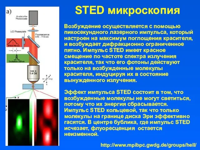 STED микроскопия Возбуждение осуществляется с помощью пикосекундного лазерного импульса, который настроен