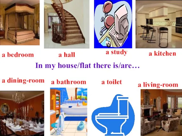 In my house/flat there is/are… a bedroom a kitchen a study