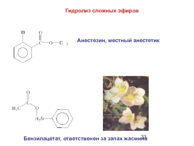 Анестезин, местный анестетик Бензилацетат, ответственен за запах жасмина Гидролиз сложных эфиров