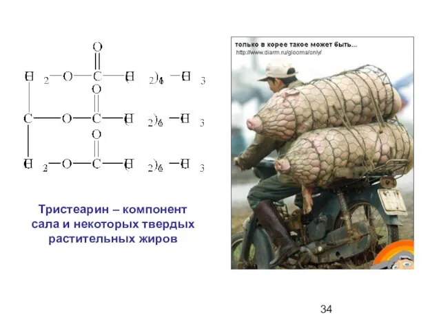 Тристеарин – компонент сала и некоторых твердых растительных жиров