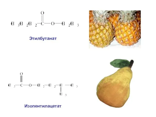 Этилбутанат Изопентилацетат