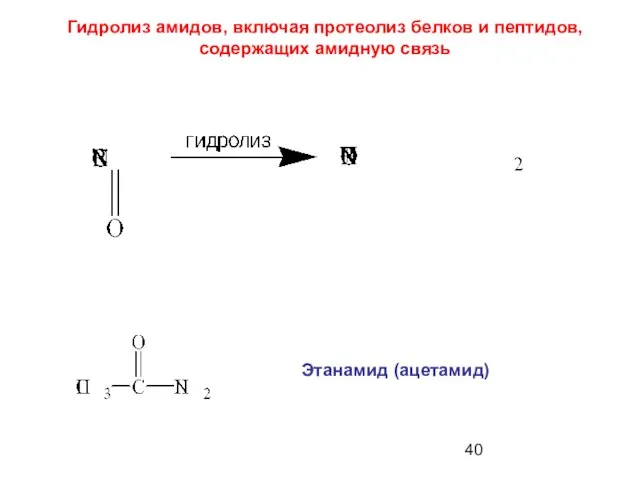 Этанамид (ацетамид) Гидролиз амидов, включая протеолиз белков и пептидов, содержащих амидную связь