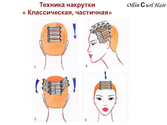 Ollin Сurl Hair Техника накрутки « Классическая, частичная»