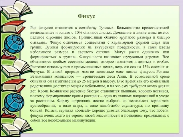 Род фикусов относится к семейству Тутовых. Большинство представителей вечнозеленые и только