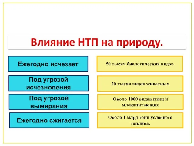 Ежегодно исчезает 50 тысяч биологических видов Под угрозой исчезновения 20 тысяч