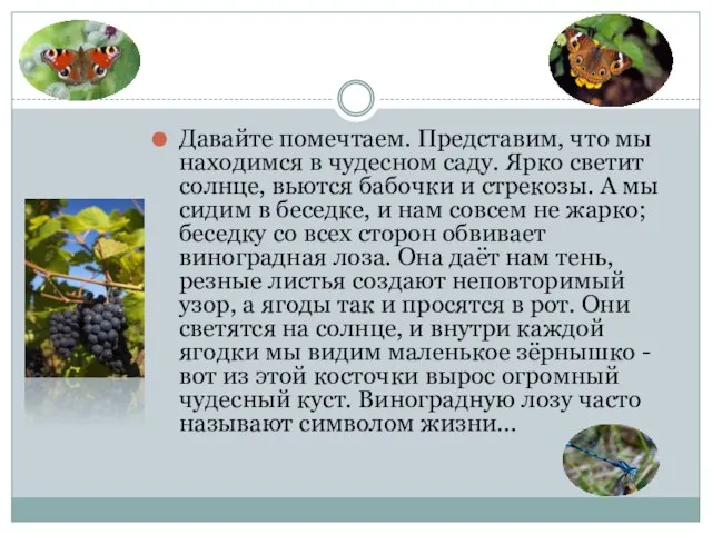 Давайте помечтаем. Представим, что мы находимся в чудесном саду. Ярко светит