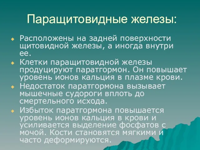 Паращитовидные железы: Расположены на задней поверхности щитовидной железы, а иногда внутри