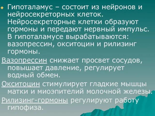 Гипоталамус – состоит из нейронов и нейросекреторных клеток. Нейросекреторные клетки образуют