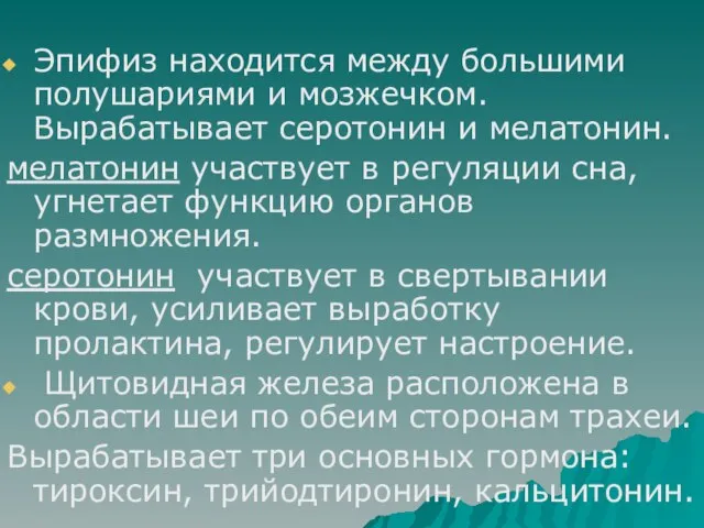 Эпифиз находится между большими полушариями и мозжечком. Вырабатывает серотонин и мелатонин.