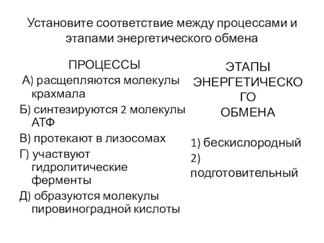 Установите соответствие между процессами и этапами энергетического обмена ПРОЦЕССЫ А) расщепляются