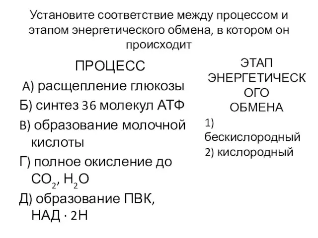 Установите соответствие между процессом и этапом энергетического обмена, в котором он