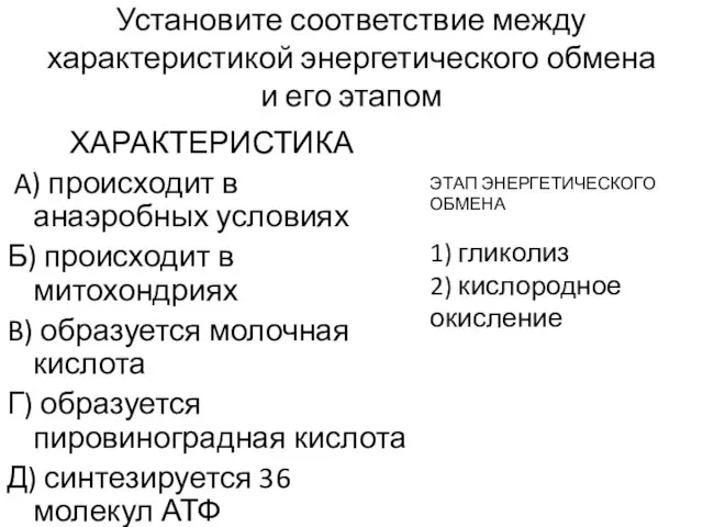 Установите соответствие между характеристикой энергетического обмена и его этапом ХАРАКТЕРИСТИКА A)