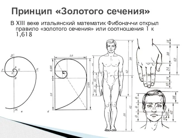 В XIII веке итальянский математик Фибоначчи открыл правило «золотого сечения» или