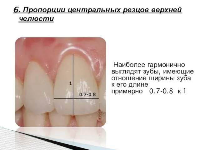 6. Пропорции центральных резцов верхней челюсти Наиболее гармонично выглядят зубы, имеющие