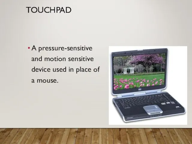 TOUCHPAD A pressure-sensitive and motion sensitive device used in place of a mouse.