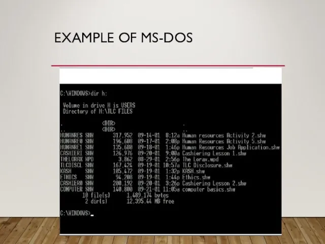 EXAMPLE OF MS-DOS