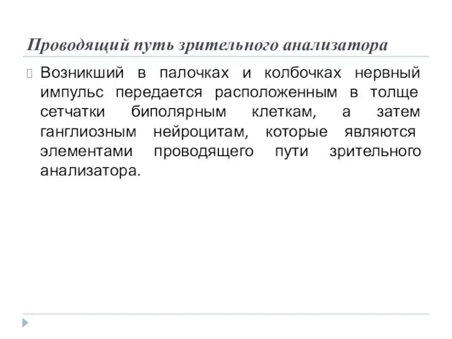 Проводящий путь зрительного анализатора Возникший в палочках и колбочках нервный импульс