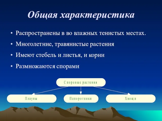 Общая характеристика Распространены в во влажных тенистых местах. Многолетние, травянистые растения