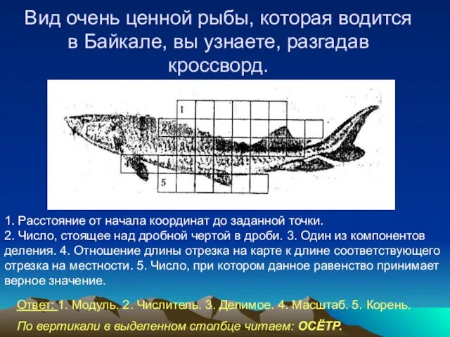 Вид очень ценной рыбы, которая водится в Байкале, вы узнаете, разгадав