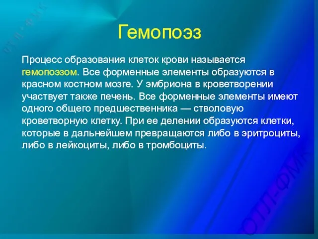 Гемопоэз Процесс образования клеток крови называется гемопоэзом. Все форменные элементы образуются